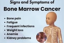 About bone marrow pic